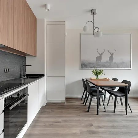 Old Town Scala Apartamens C With Parking By Lion Apartment